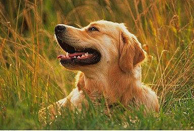 E3：吃鸡手游《最终幻想7：第一战士》新预告释出